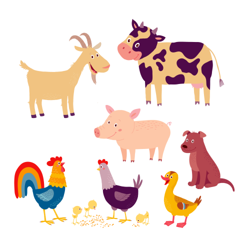 Farm Animals